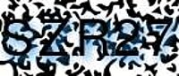 grafischer Sicherheitscode