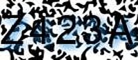 grafischer Sicherheitscode