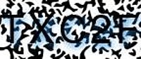 grafischer Sicherheitscode