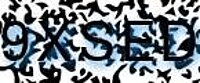 grafischer Sicherheitscode