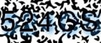 grafischer Sicherheitscode